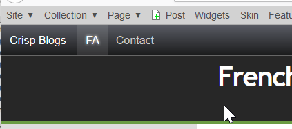 Accessing blog by ssl not formatted properly