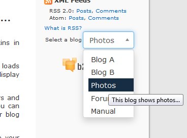 Blog selector widget